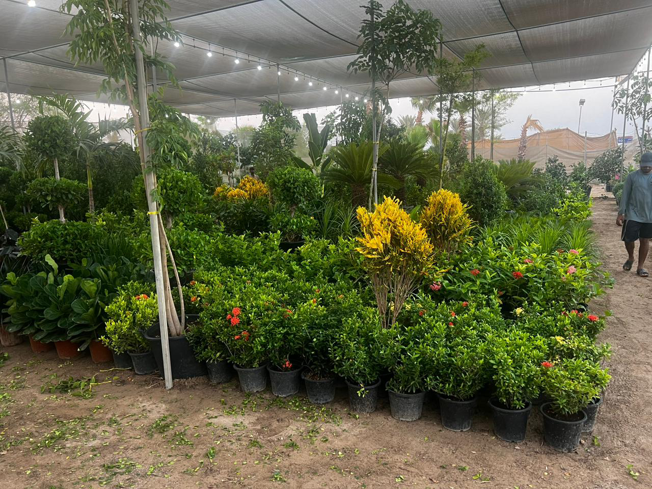 Background - 2023-10-20T120515.435