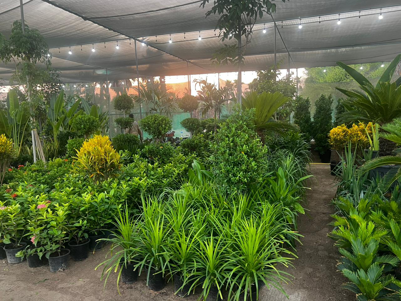 Background - 2023-10-20T120518.004