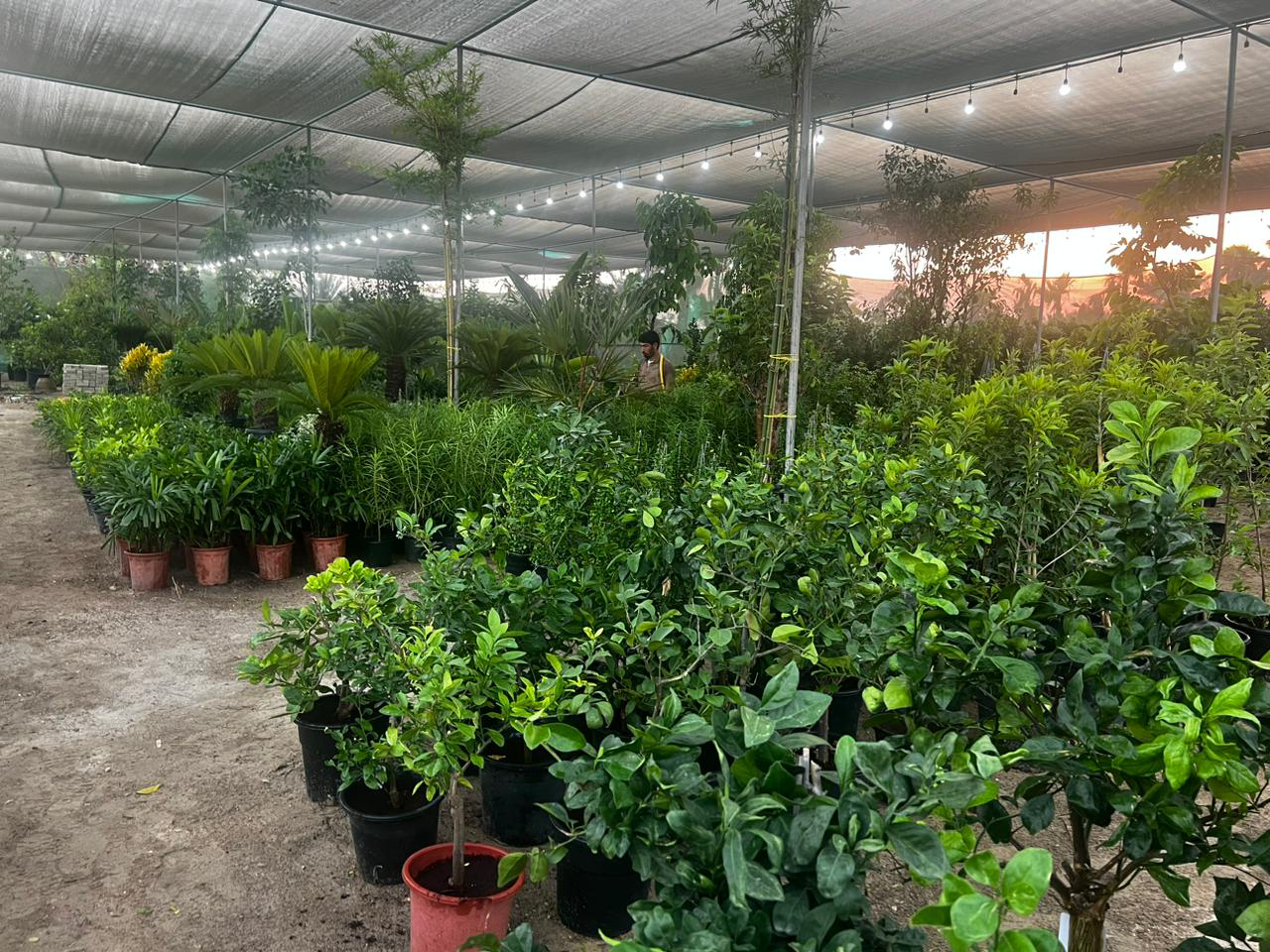 Background - 2023-10-20T120520.307