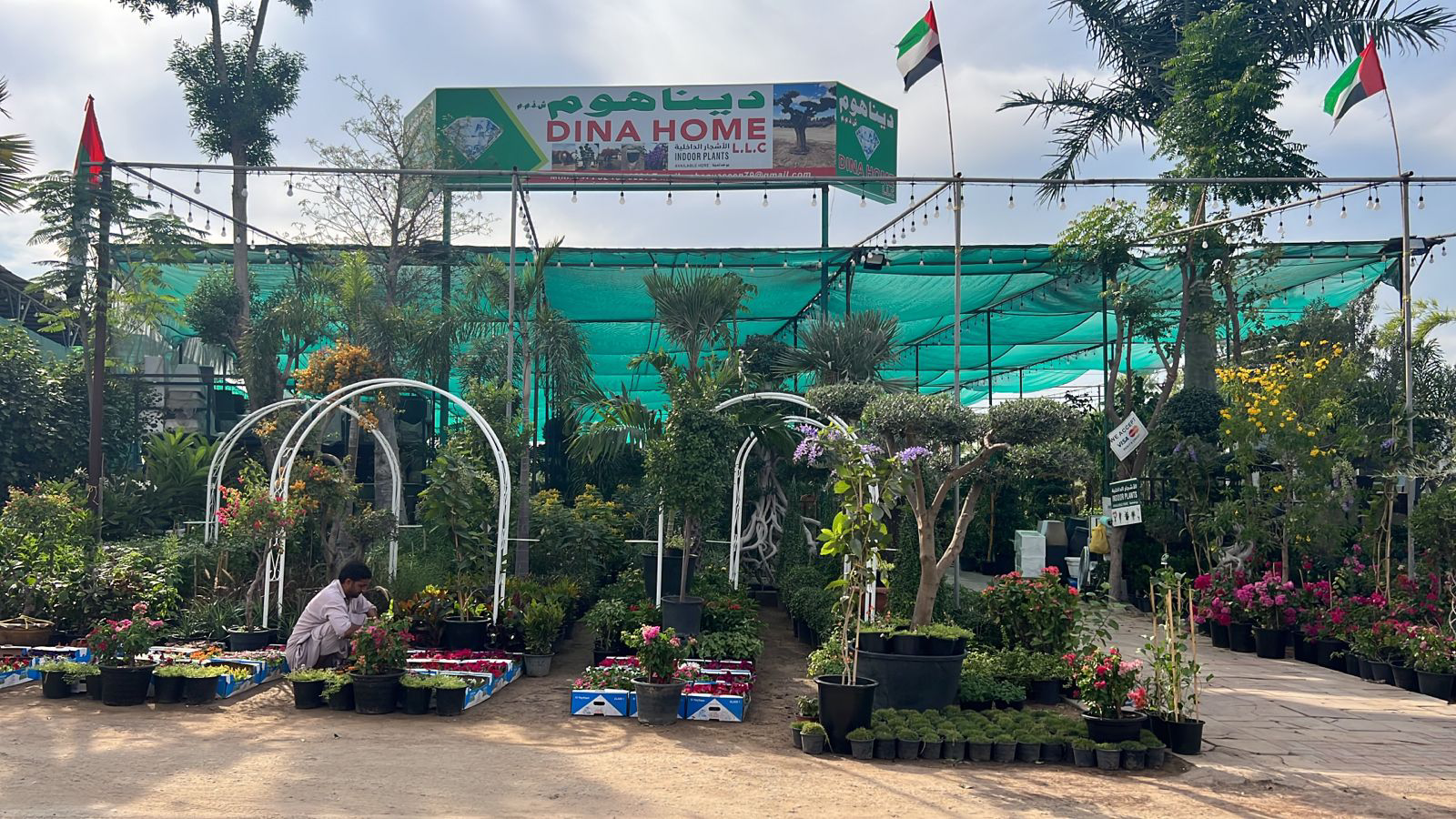 Background - 2023-10-20T120523.042